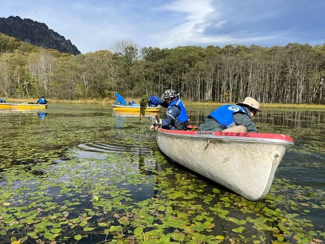 新緑の戸隠鏡池で貴重な体験！水草除去で自然と絶景を守る特別体験_1