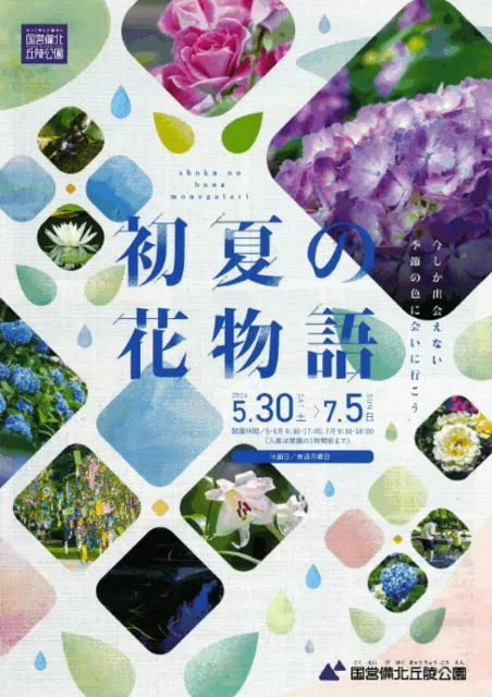 初夏の花物語_1