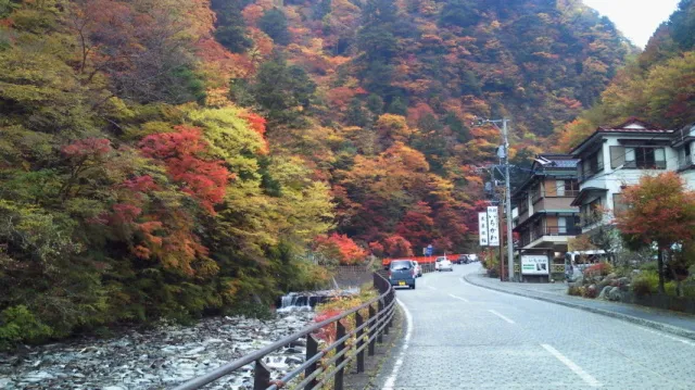 【紅葉・見ごろ】梅ケ島温泉街_1