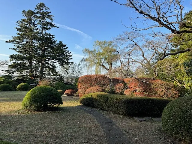 【紅葉・見ごろ】八戸南部氏庭園_1
