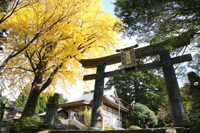 【紅葉・見ごろ】英彦山_1