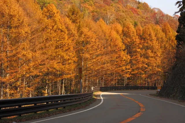 【紅葉・見ごろ】飛騨・美濃せせらぎ街道_1