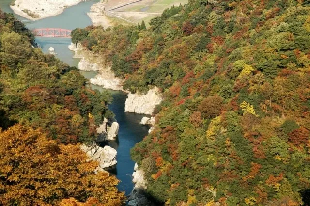 【紅葉・見ごろ】神通峡_1