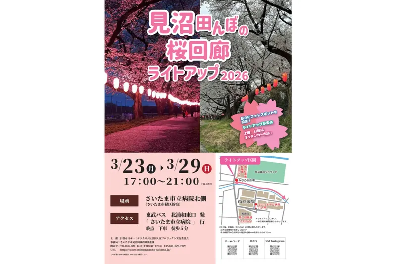 見沼田んぼの桜回廊　ライトアップ2026