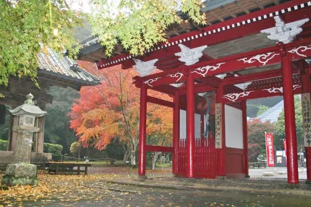 南房総市観光プロモーション課