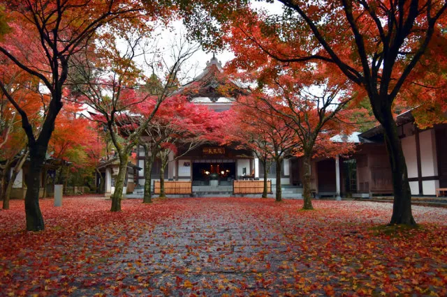 呑山観音寺 紅葉まつり_1