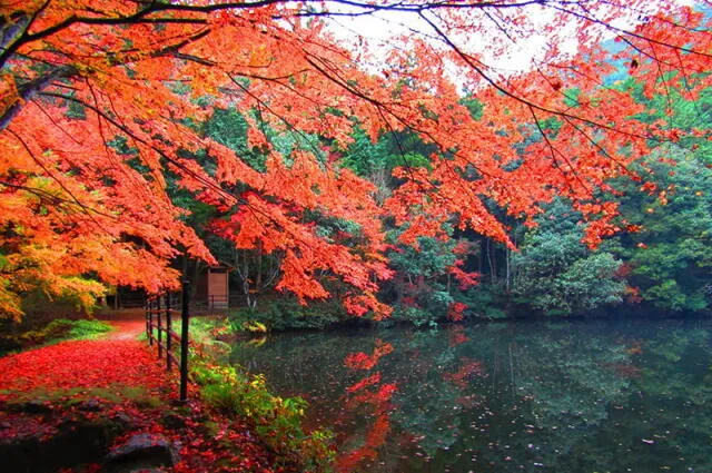 【紅葉・見ごろ】白馬渓_1