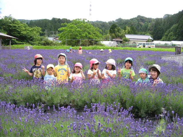 ドリーム新野　ラベンダー園_1
