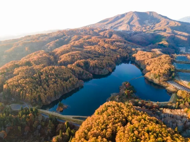 【紅葉・見ごろ】斑尾高原_1