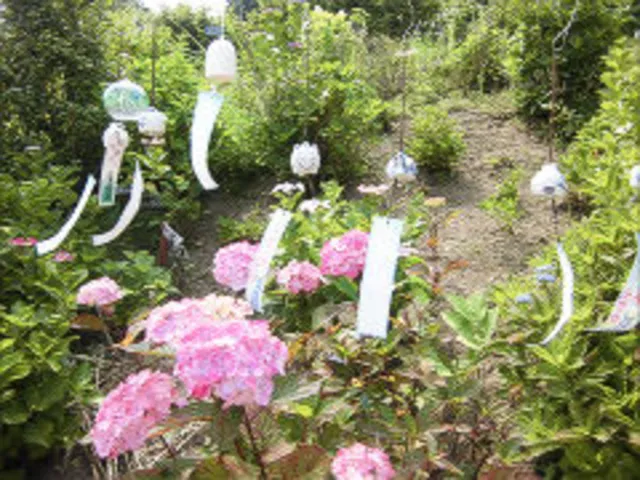観音寺 風鈴祭り_1