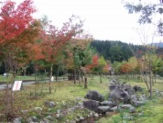 【紅葉・見ごろ】滝谷森林公園_1