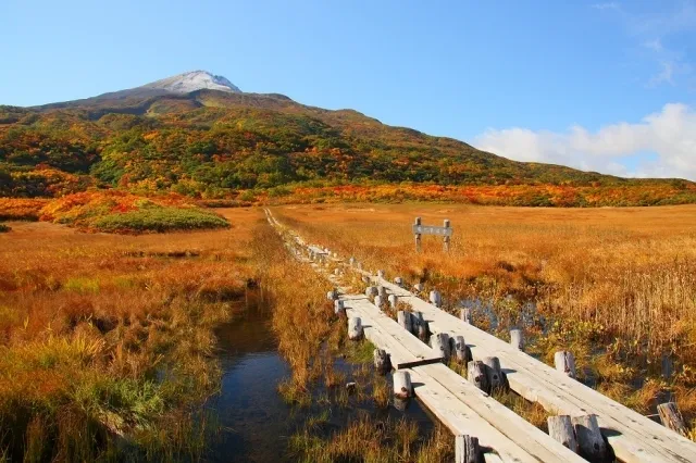 【紅葉・見ごろ】鳥海山_1