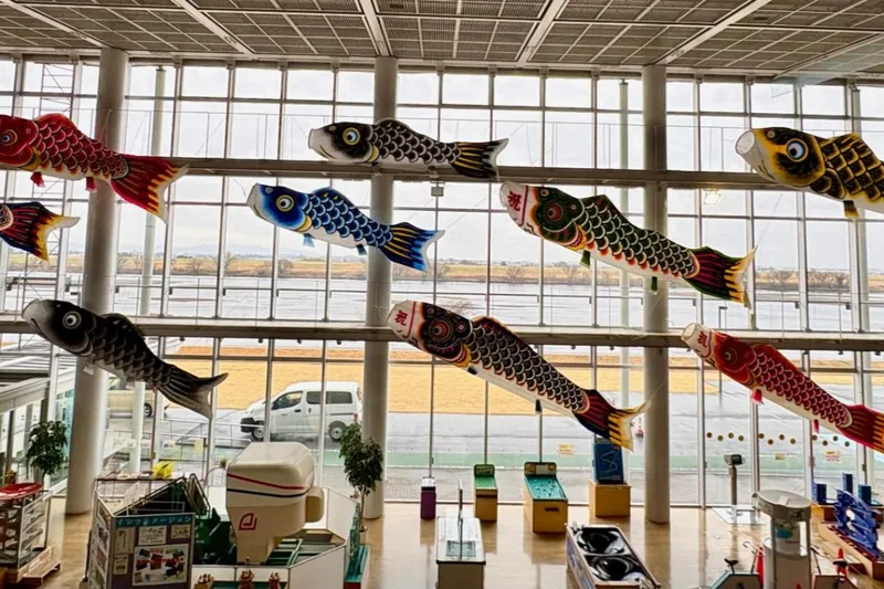 こいのぼり水族館