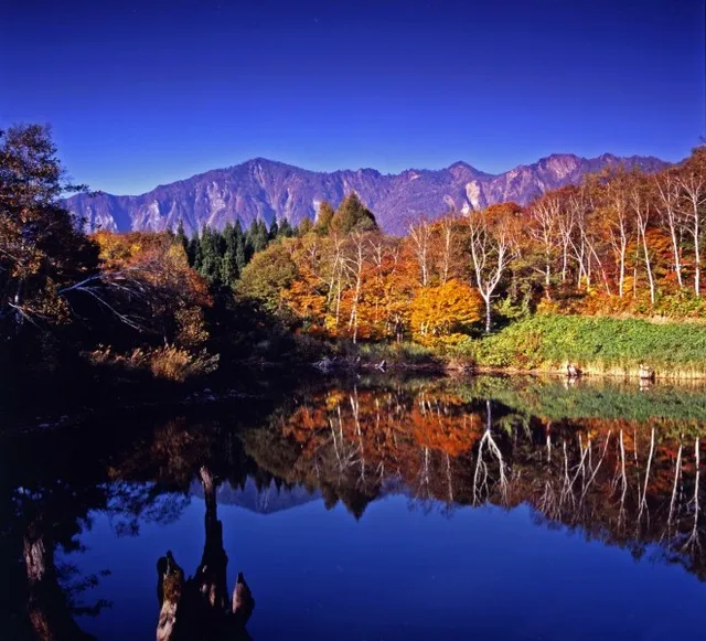 【紅葉・見ごろ】天池_1
