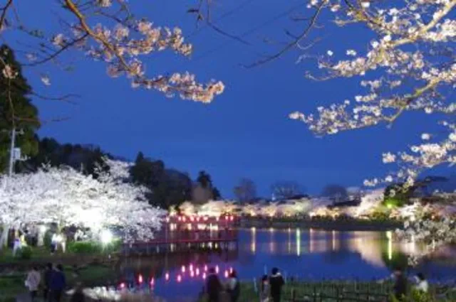東金桜まつり_1