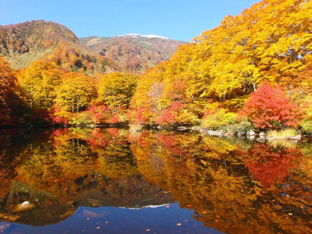【紅葉・見ごろ】鶴間池_1