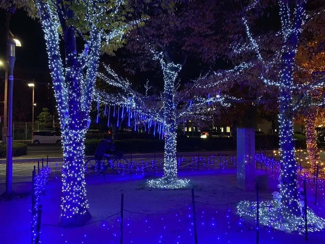 Higashihiroshima トワイエ 2025 西条中央公園のイルミネーション_1