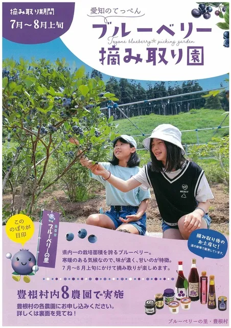 ブルーベリー摘み取り園OPEN_1