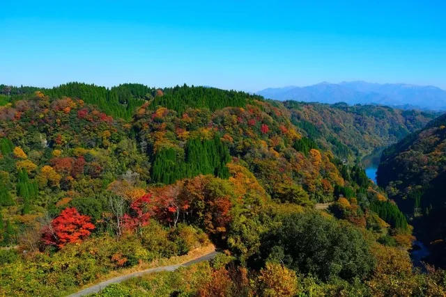 【紅葉・見ごろ】蘇陽峡_1