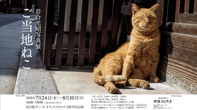 岩合光昭写真展「ご当地ねこ」_1
