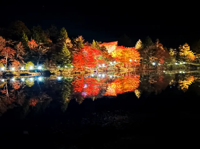 2026茶臼山高原紅葉ライトアップ_1