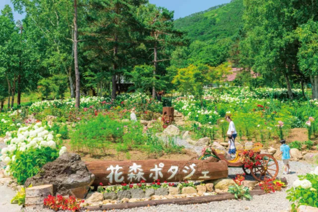 【花・見ごろ】ルスツリゾート　花森ポタジェ_1