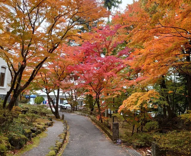 【紅葉・見ごろ】大正ロマンの森　竹久夢二伊香保記念館_1