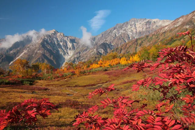 【紅葉・見ごろ】栂池自然園_1