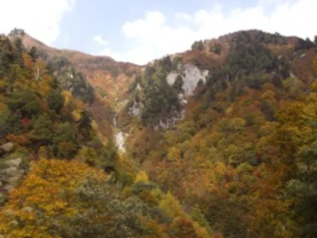 【紅葉・見ごろ】秋山林道_1