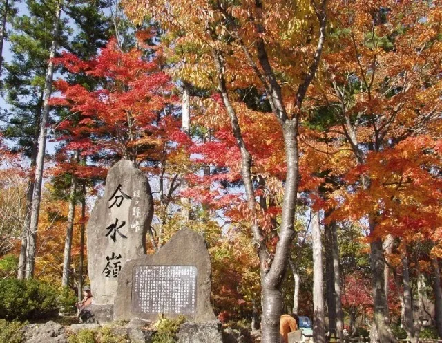 【紅葉・見ごろ】ひるがの高原_1