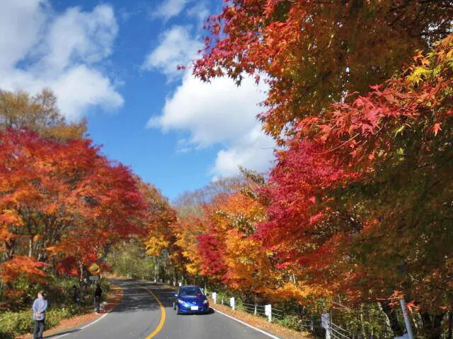 【紅葉・見ごろ】日塩もみじライン_1
