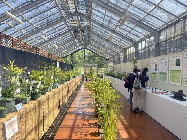 秋の薬用植物とハーブ展_1