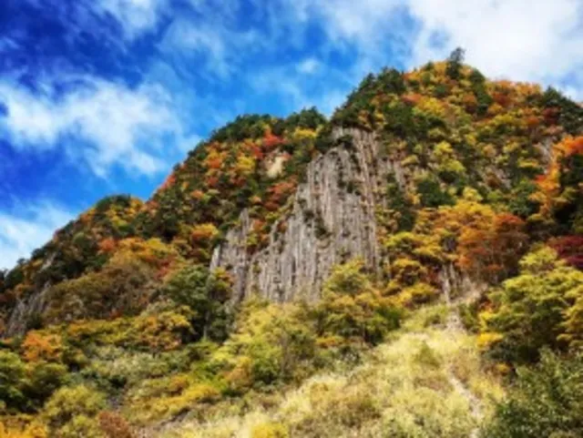 【紅葉・見ごろ】布岩_1