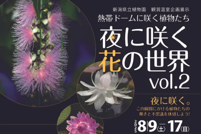 企画展示「～熱帯ドームに咲く植物たち～夜に咲く花の世界」_1