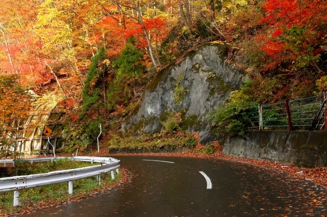 【紅葉・見ごろ】坂梨峠_1