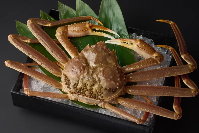 〈五周年スペシャルディナー〉五感に沁みる感謝の晩餐、冬の恵みと銘酒の邂逅