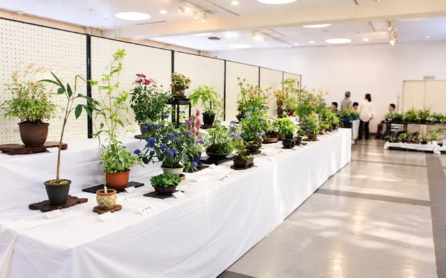 秋の山野草展_1