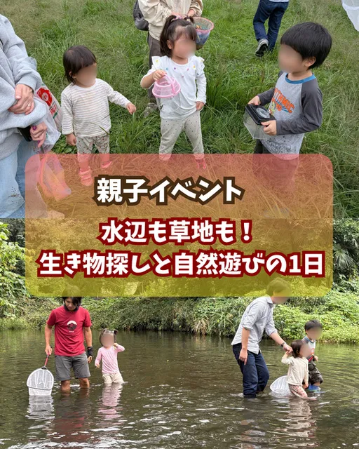 今年最後の生き物探しと自然遊びの1日_1