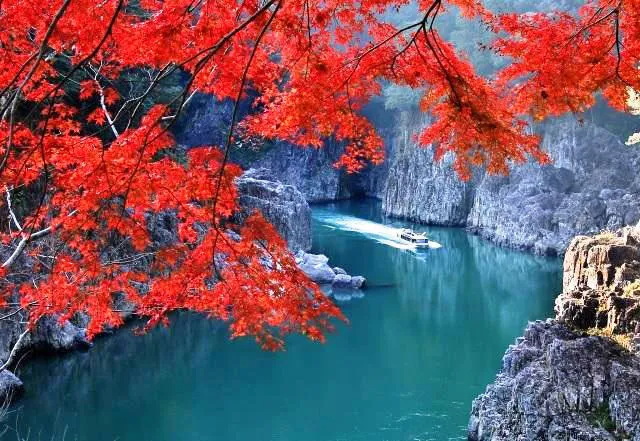 【紅葉・見ごろ】瀞峡_1