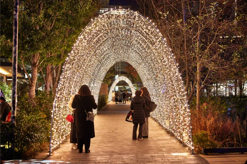 Winter Springs 色の星