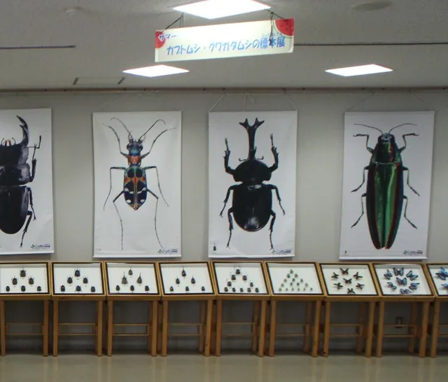 淡路島国営明石海峡公園　世界の昆虫標本と昆虫タペストリーの展示_1