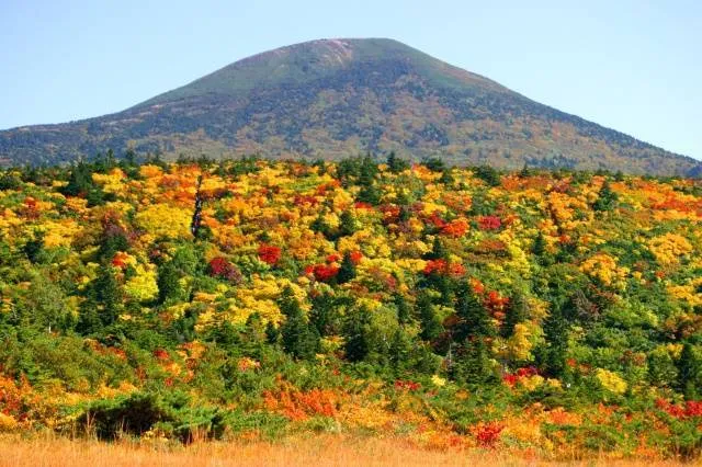 【紅葉・見ごろ】八甲田連峰（八甲田山）_1