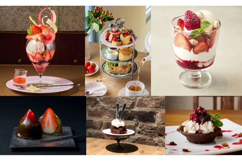 SWEET STRAWBERRY & RICH CHOCOLATE 2026