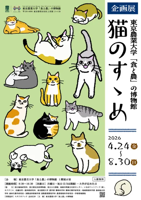 企画展「猫のすゝめ」_1