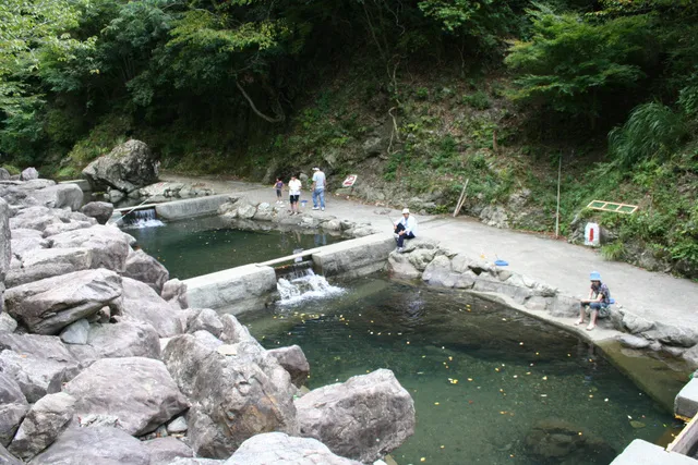 鷲の川渓流アマゴ釣り_1