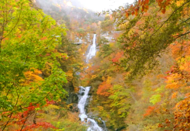 【紅葉・見ごろ】精進ヶ滝と石空川渓谷_1