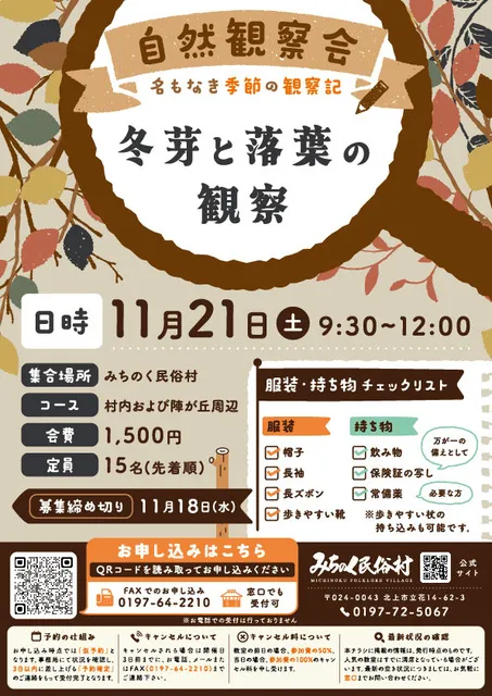 自然観察会　名もなき季節の観察記（11月）_1