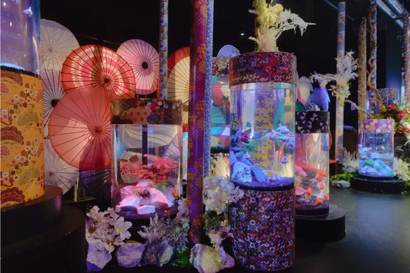 お台場アク和リウム