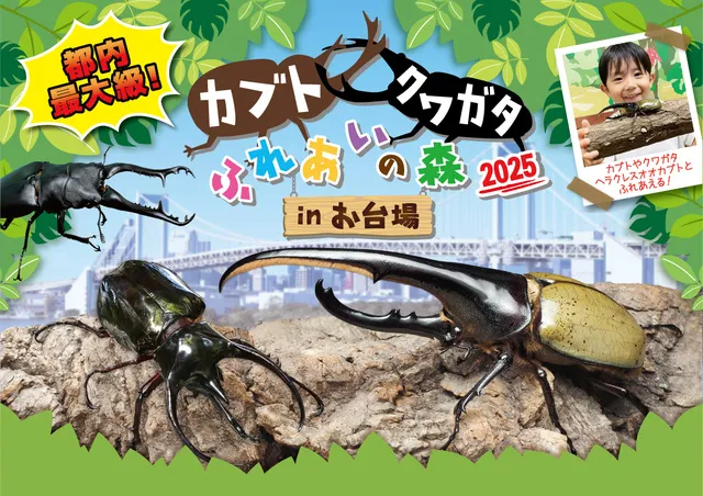 カブト・クワガタ ふれあいの森 in お台場 2025_1