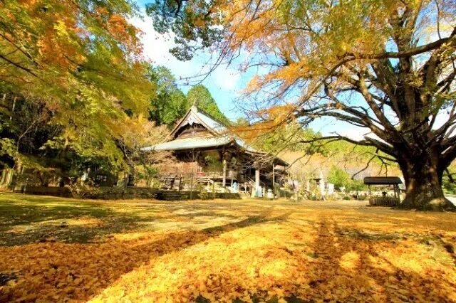 【紅葉・見ごろ】大山寺_1